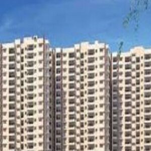 Profile photo of Birla Ojasvi