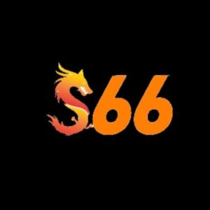Profile photo of s66