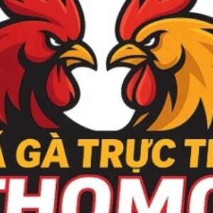 Profile photo of Đá gà trực tiếp Thomo –
