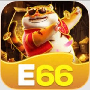 Profile photo of E66