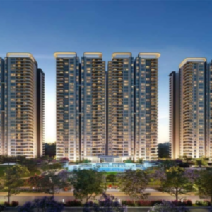 Profile photo of Nambiar