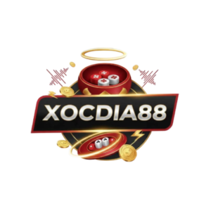 Profile photo of CEO