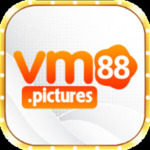 Profile photo of vm88