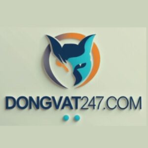 Profile photo of dongvat247