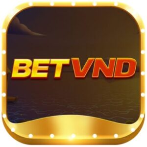 Profile photo of betvnd