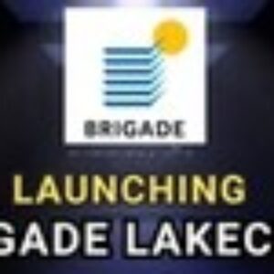 Profile photo of Brigade