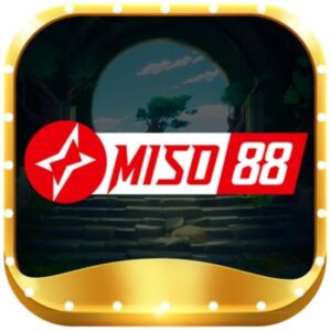 Profile photo of miso88