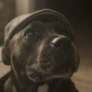 Profile photo of Nathan