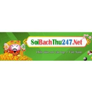 Profile photo of Soi Cầu 247