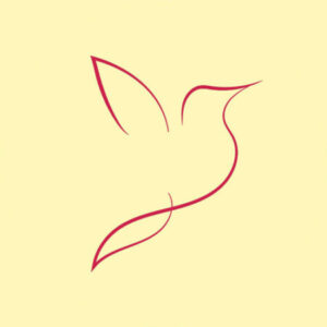 Profile photo of Parwaz