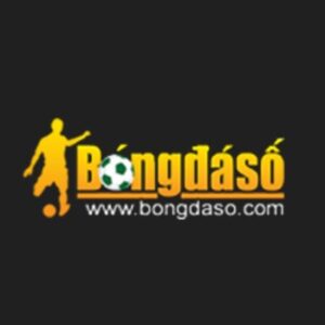 Profile photo of Bongdasoin