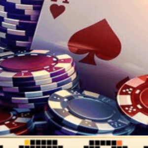 Profile photo of pg66