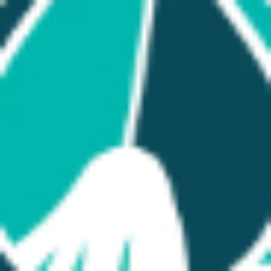 Profile photo of Bond Cleaning