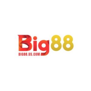 Profile photo of Big88