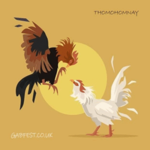 Profile photo of thomohomnaygabfest