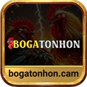 Profile photo of Bồ Gà