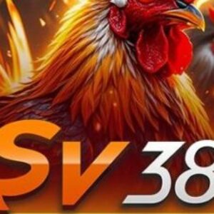 Profile photo of nhà cái