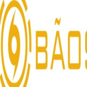 Profile photo of Bao99