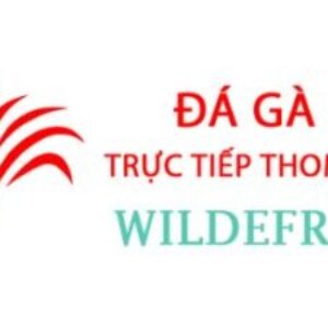 Profile photo of Đá Gà Trực
