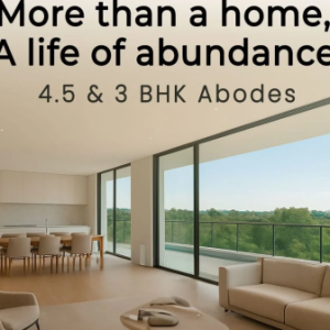 Profile photo of Jhamtani