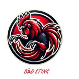 Profile photo of BẢO