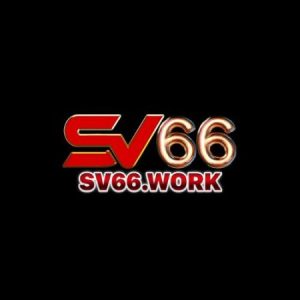 Profile photo of SV66