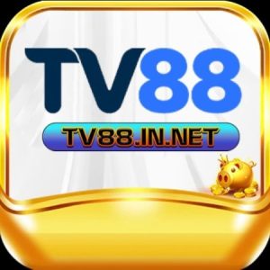 Profile photo of Tv88