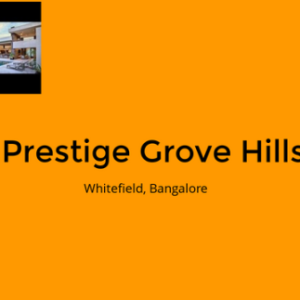 Profile photo of Prestige