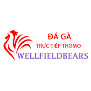 Profile photo of Đá Gà Trực Tiếp