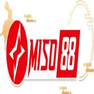 Profile photo of miso88