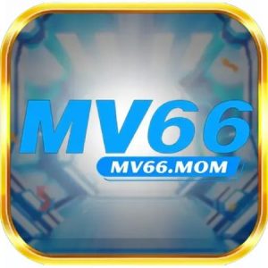 Profile photo of mv66