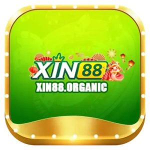 Profile photo of xin88
