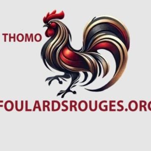 Profile photo of ĐÁ GÀ THOMO