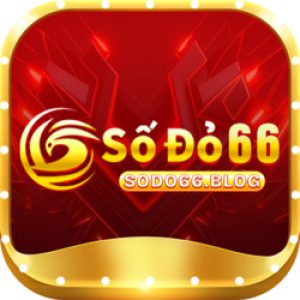 Profile photo of sodo66