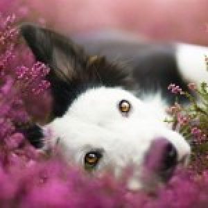 Profile photo of Alla