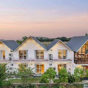 Profile photo of silverspring