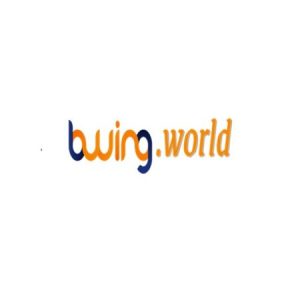 Profile photo of bwing