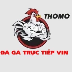 Profile photo of ĐÁ GÀ