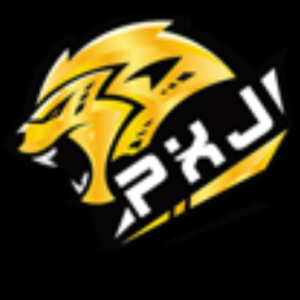 Profile photo of PXJ