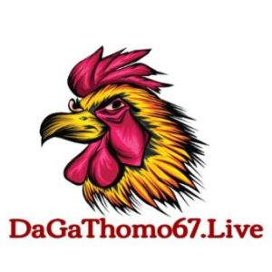 Profile photo of ĐÁ GÀ THOMO