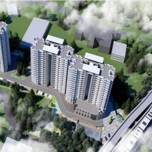 Profile photo of Purva