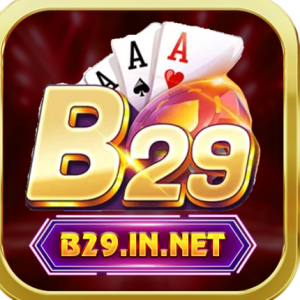 Profile photo of B29