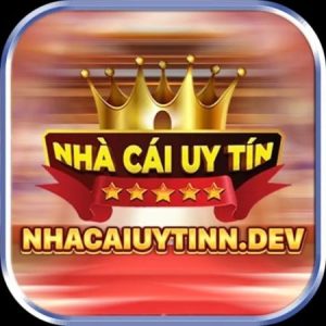 Profile photo of Nhacaiuytinn dev
