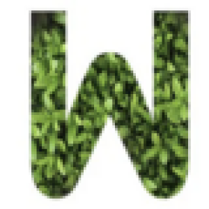 Profile photo of Well Live