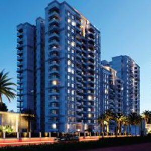 Profile photo of Prestige