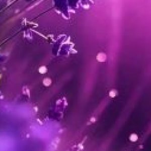 Profile photo of Irma