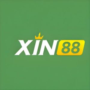 Profile photo of XIN88