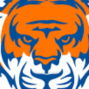 Profile photo of tiger