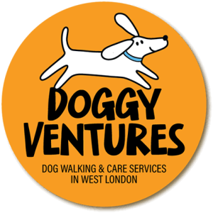 Profile photo of James