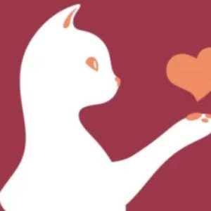 Profile photo of 大人の